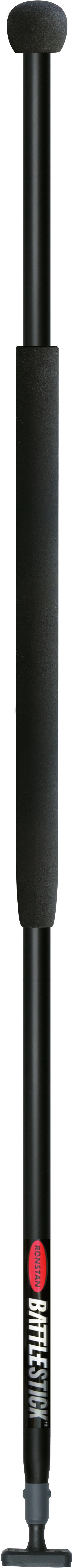 Pinnenausleger