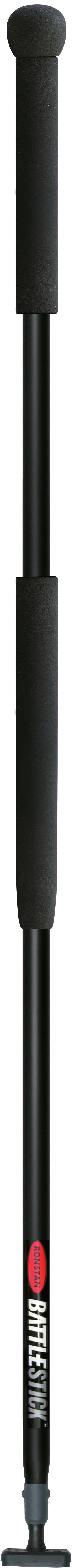 Pinnenausleger